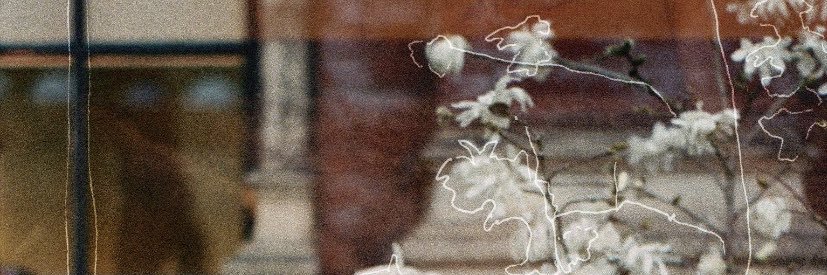 papercupmusic's profile banner image