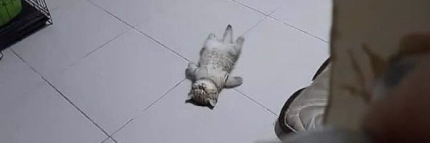 🇮🇷شوسک banner