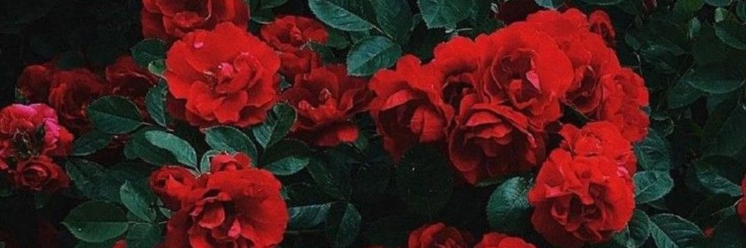 BurdurluThe's profile banner image