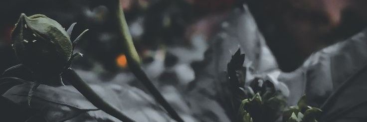 5afaaar's profile banner image