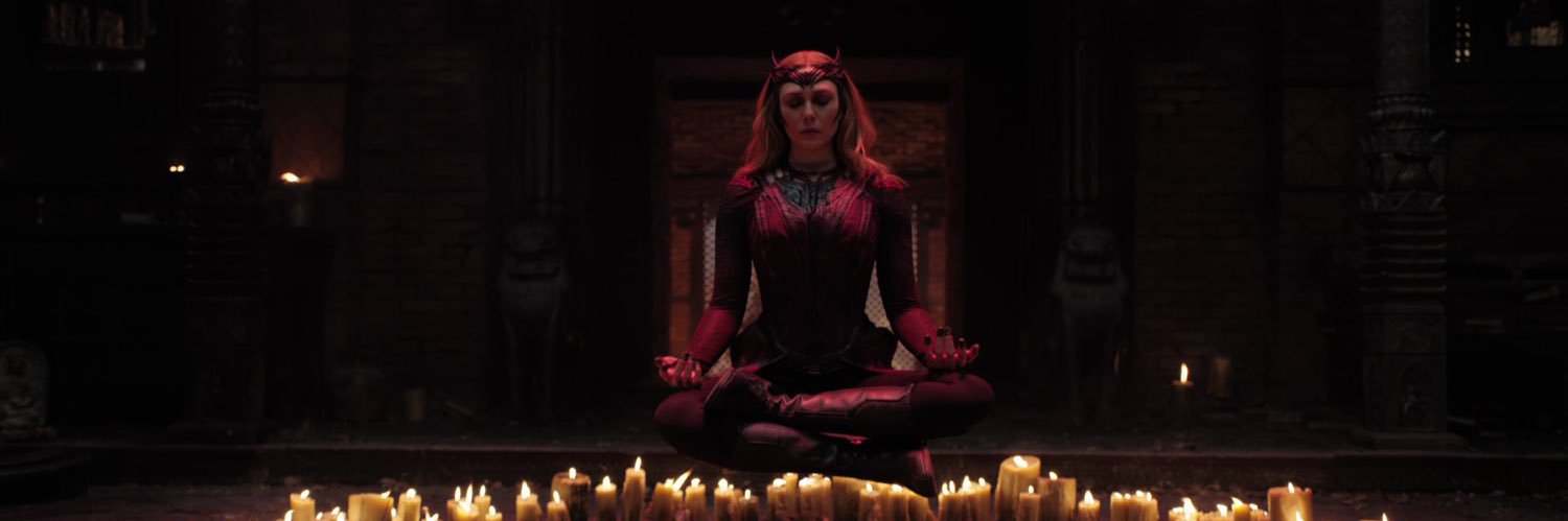 sofia banner