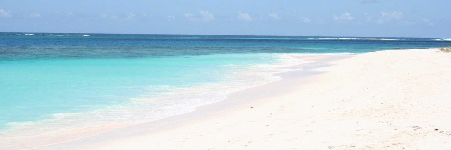 Jonathan Wong banner