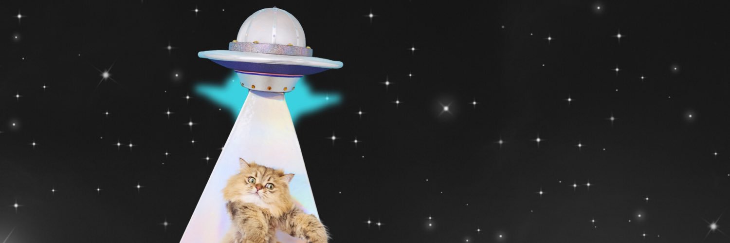 majecox's profile banner image