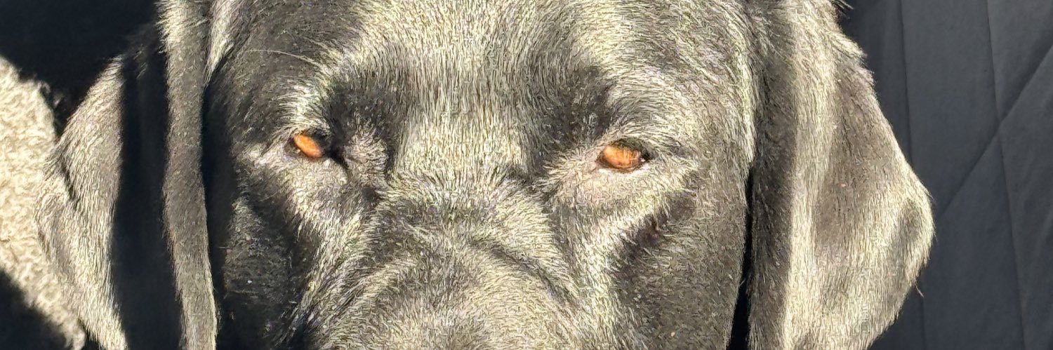 jameshrh's profile banner image