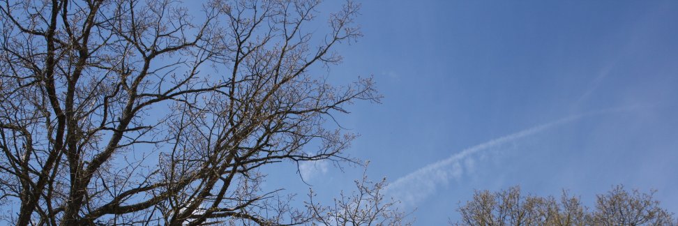 HiekkaPi's profile banner image