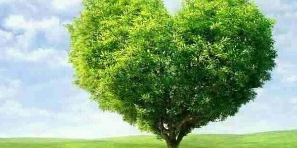 ahmadaliasd3553's profile banner image