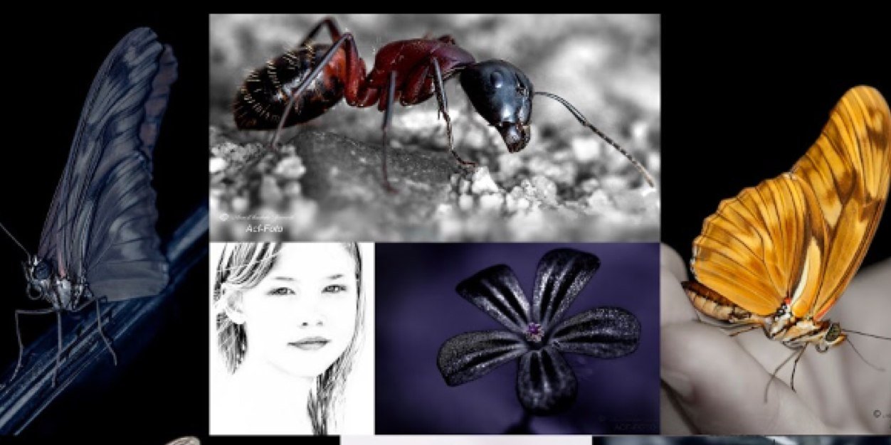 MrsJuliet_'s profile banner image