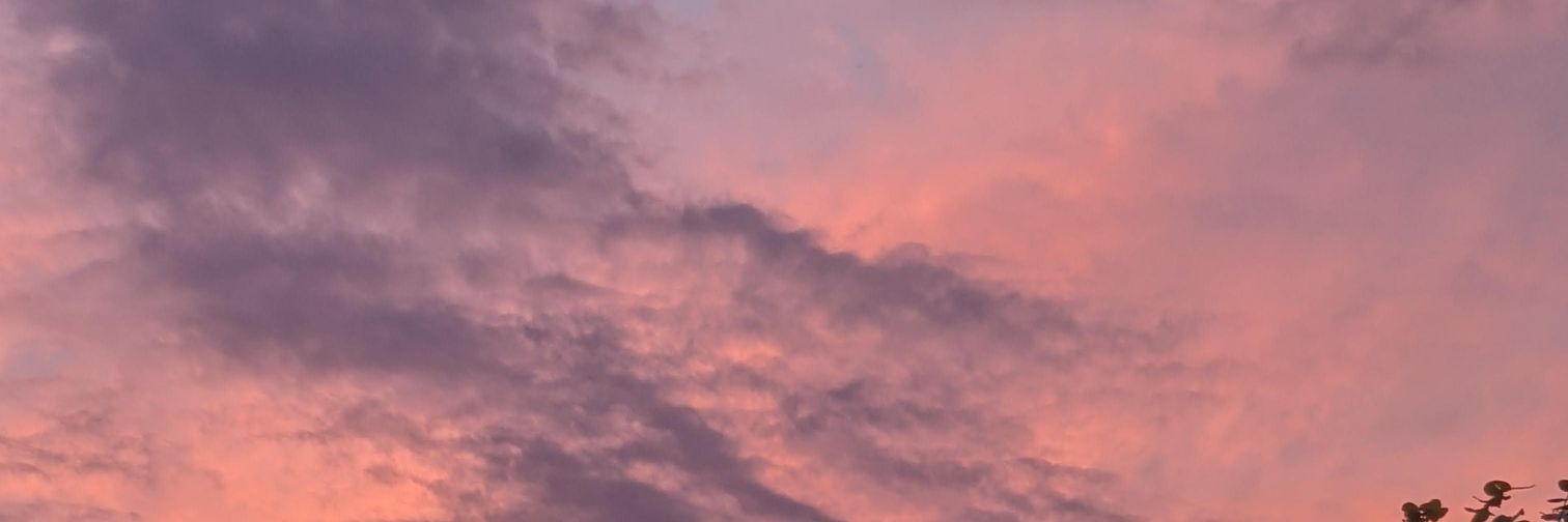 Brick Tamland banner