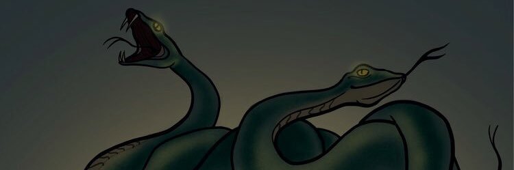 medusadgrng's profile banner image