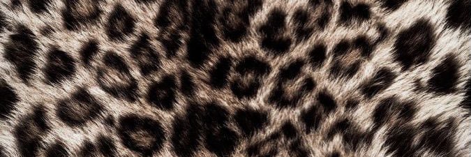 EERM__'s profile banner image