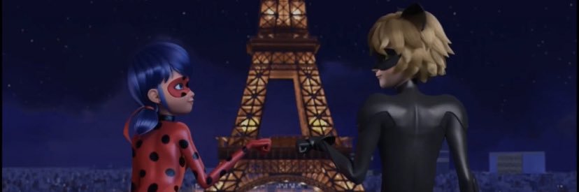 chatnoir🐾 banner