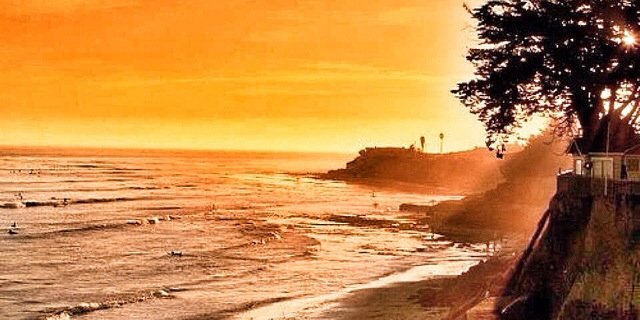 MichellleSimms's profile banner image