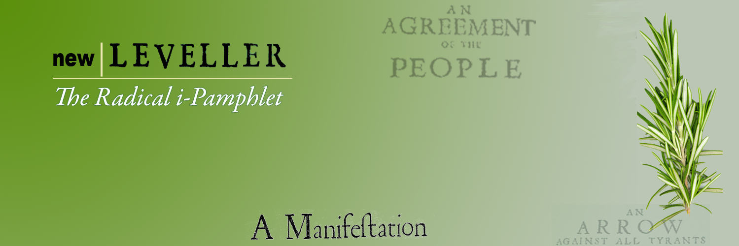 NewLeveller's profile banner image