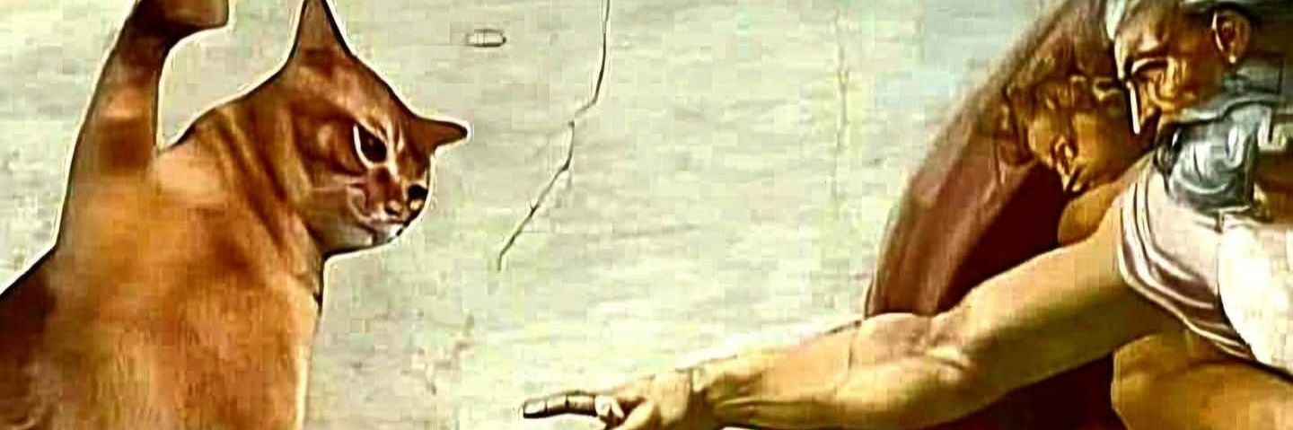 liquidatedCat.ink.base.eth banner