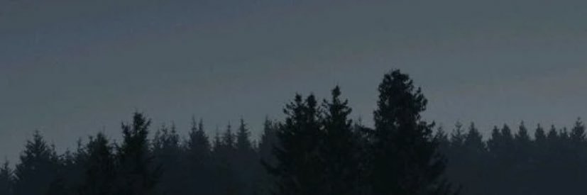 ReisNaArea's profile banner image
