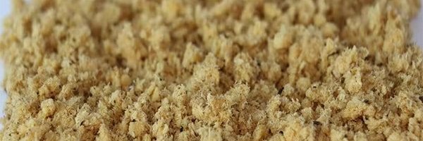 NutriInsect's profile banner image