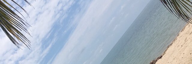 SimplyPhi's profile banner image