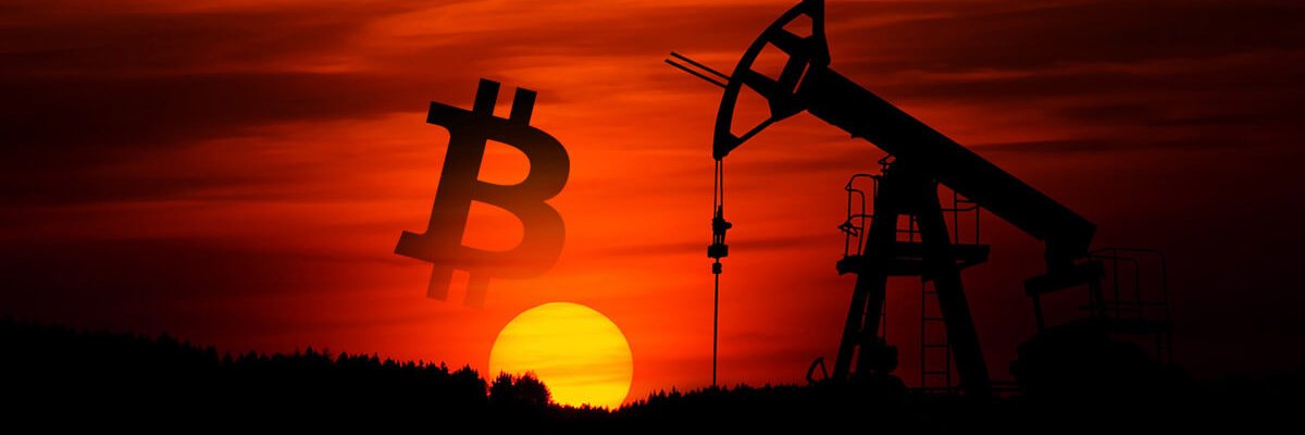 crypto_wildcat's profile banner image
