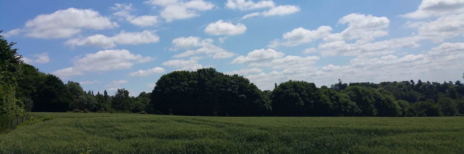 ThisDivineLife's profile banner image