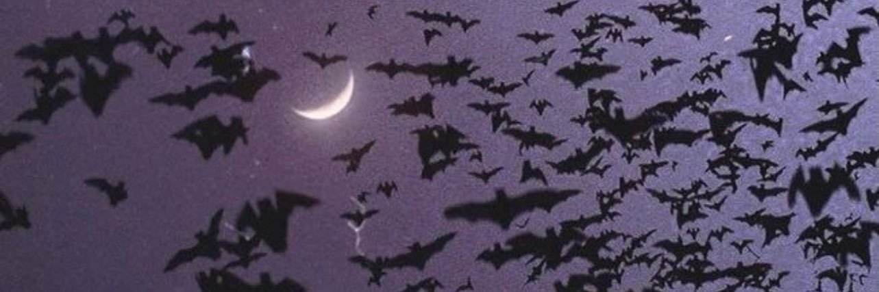b1tchfxc3's profile banner image