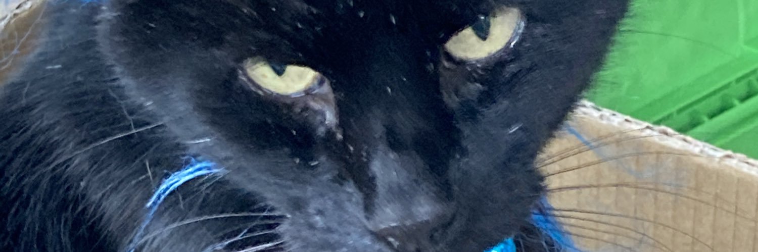 Sarah 🇺🇦 banner