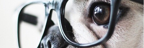 MorganJames264's profile banner image