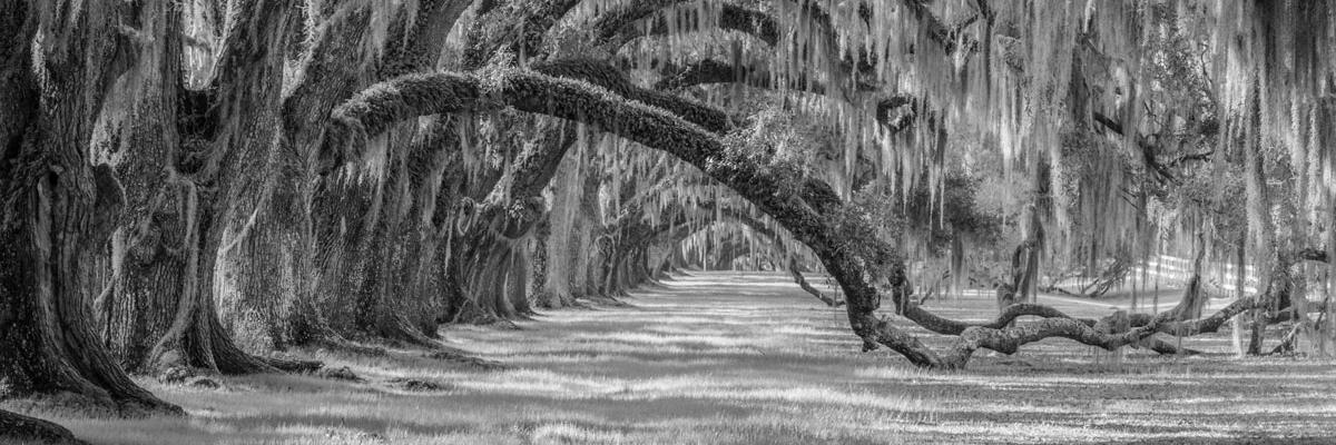 SullamPhoto's profile banner image