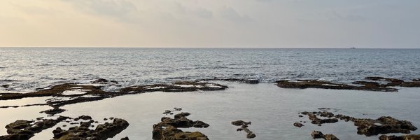 LilySFAdler Profile Banner