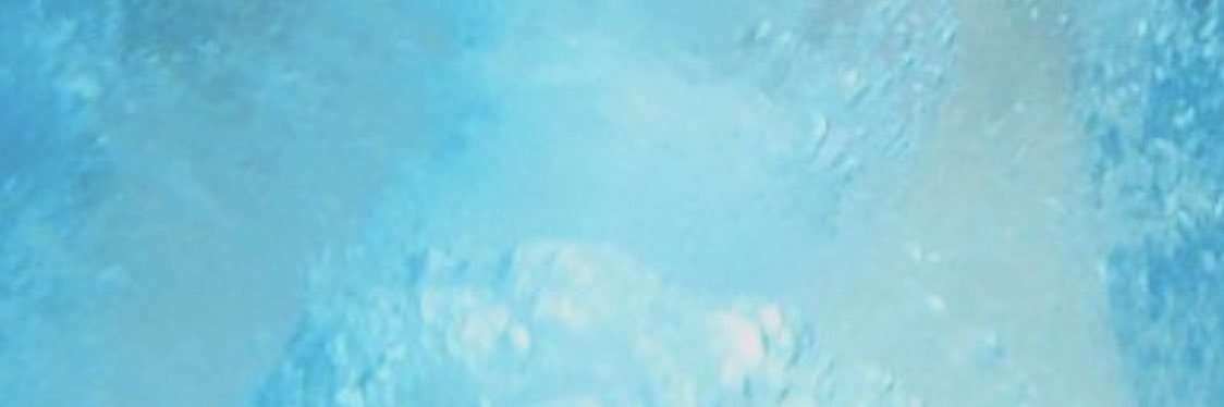 Lydia Sprenger banner