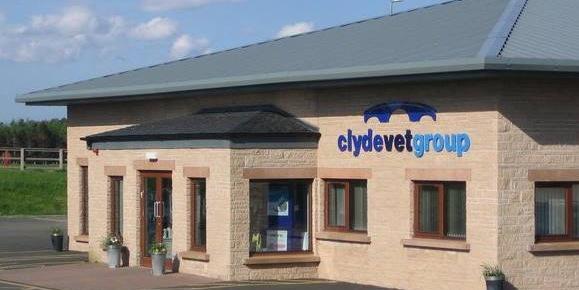 ClydeVetGroup's profile banner image