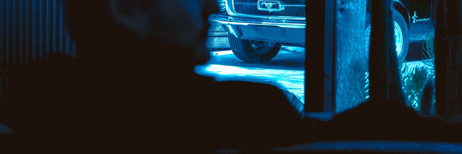 pedropascalify's profile banner image