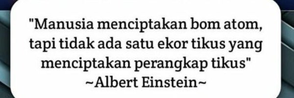 Kucing8810 Profile Banner