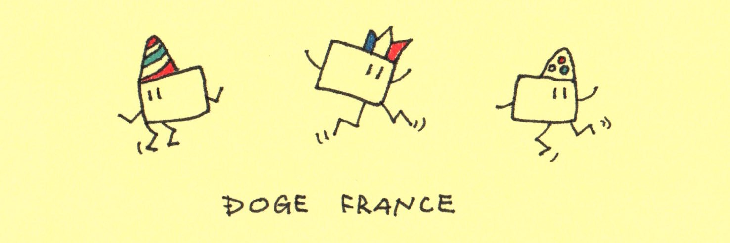 Doge France 🇫🇷 banner