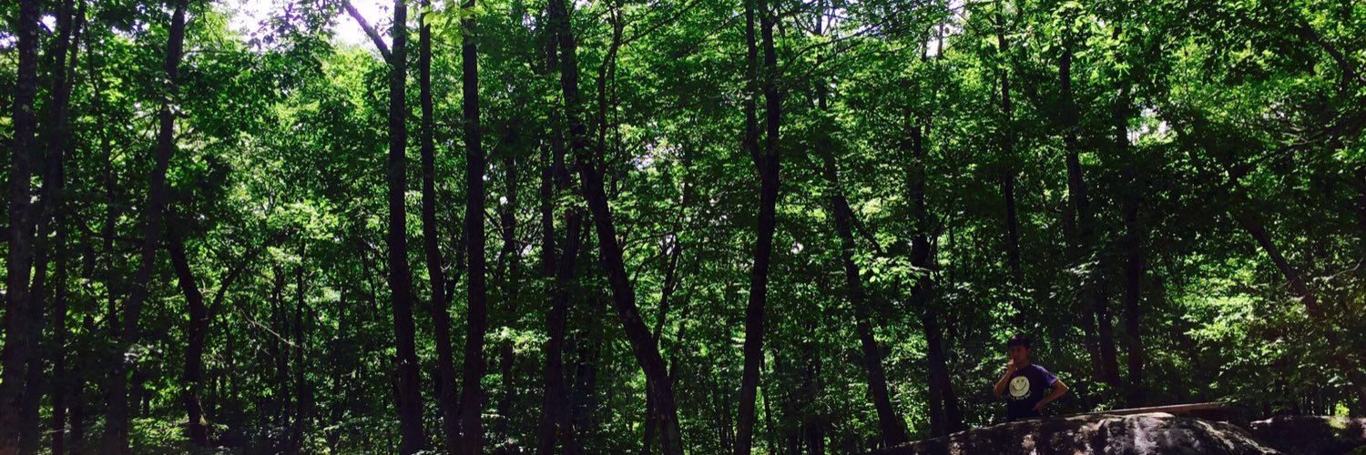 ydtsh's profile banner image