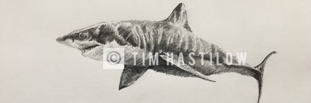 THastilow's profile banner image