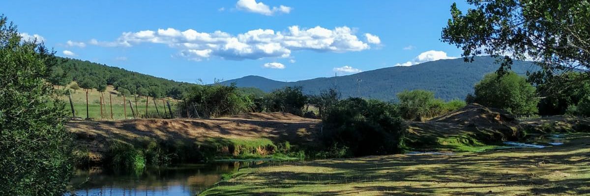 azucenaubu's profile banner image