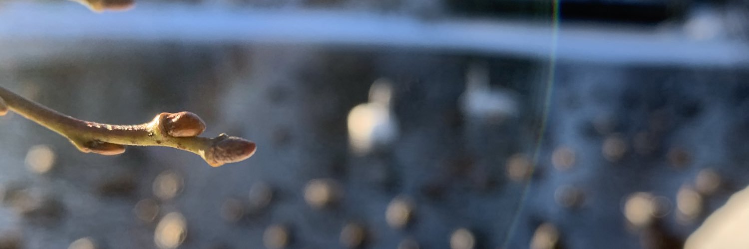 skinkebie's profile banner image