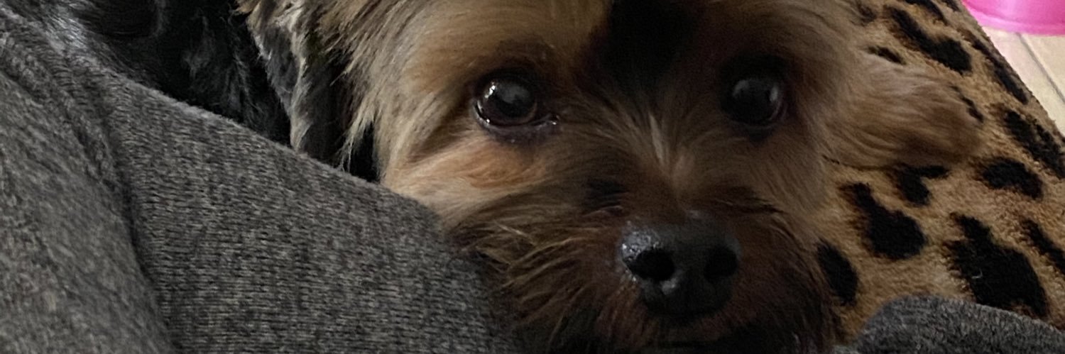 subsd's profile banner image