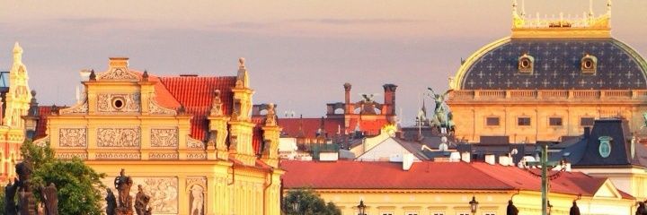 talllamedu's profile banner image
