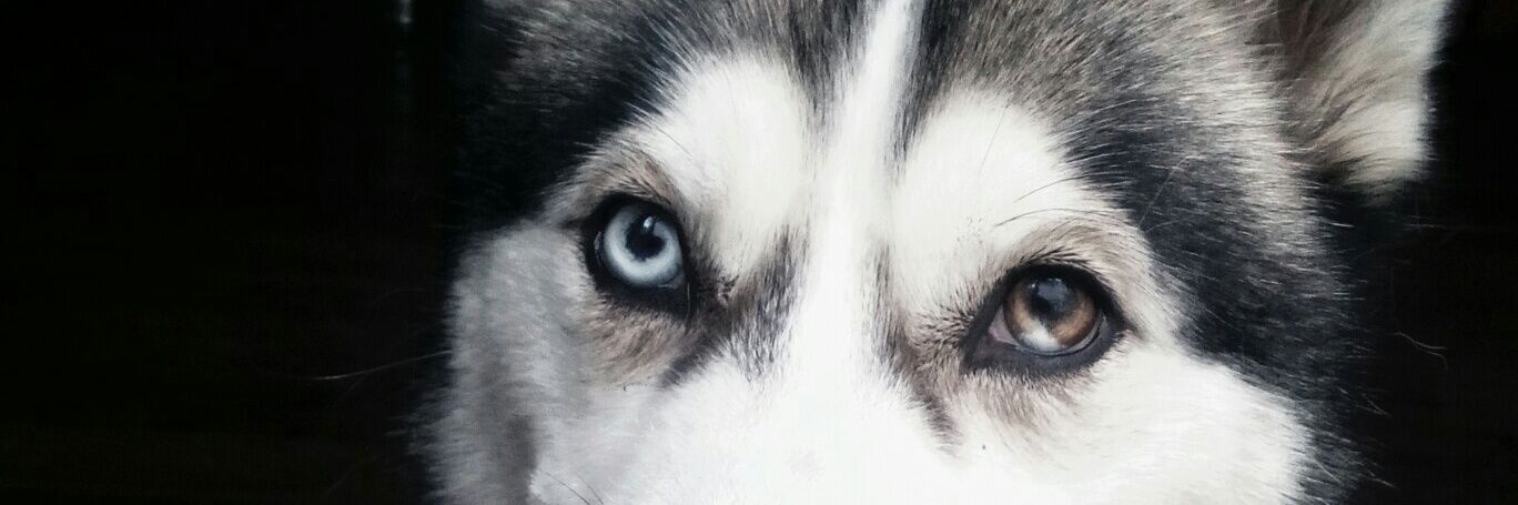 Jhas_y's profile banner image