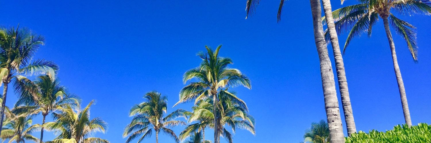 KaileaMA's profile banner image