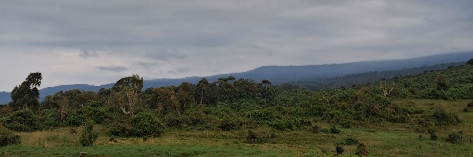 Beno Lyimo banner