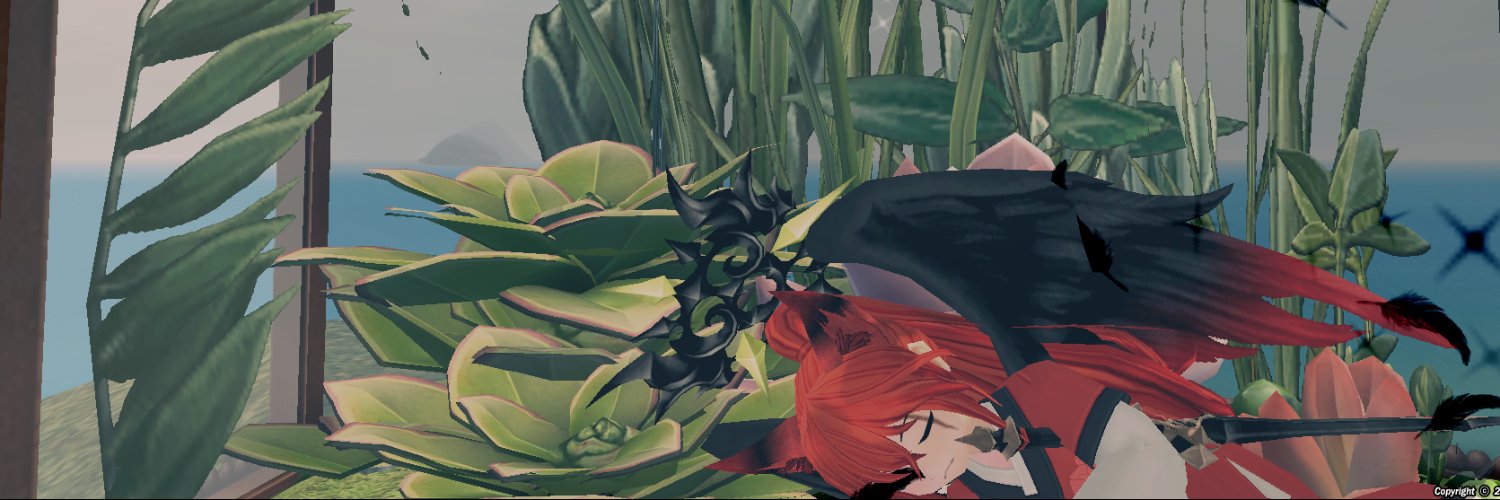 HP_Soleua's profile banner image
