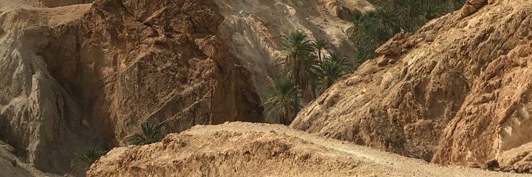 moha_946's profile banner image