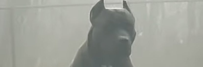 C banner