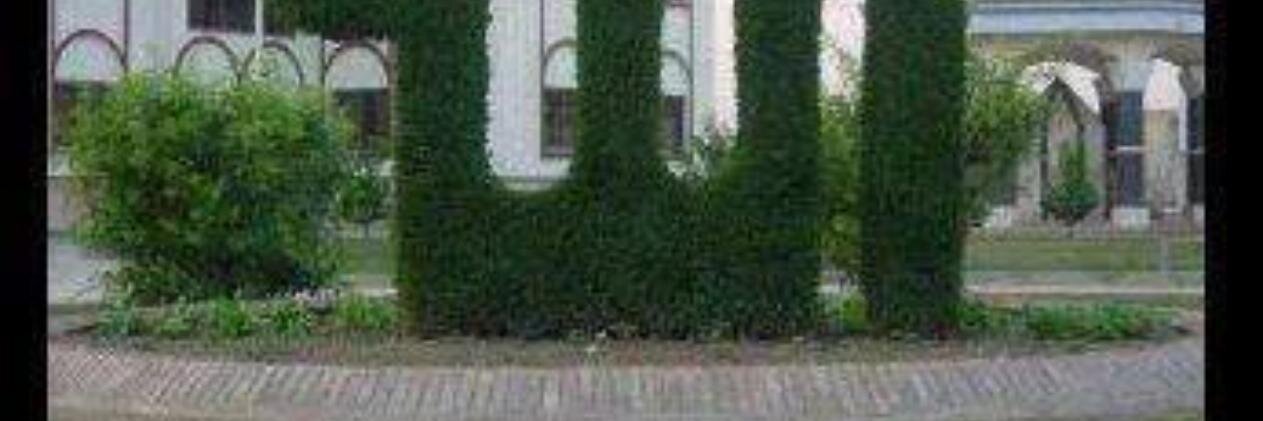 عبدالمنعم banner