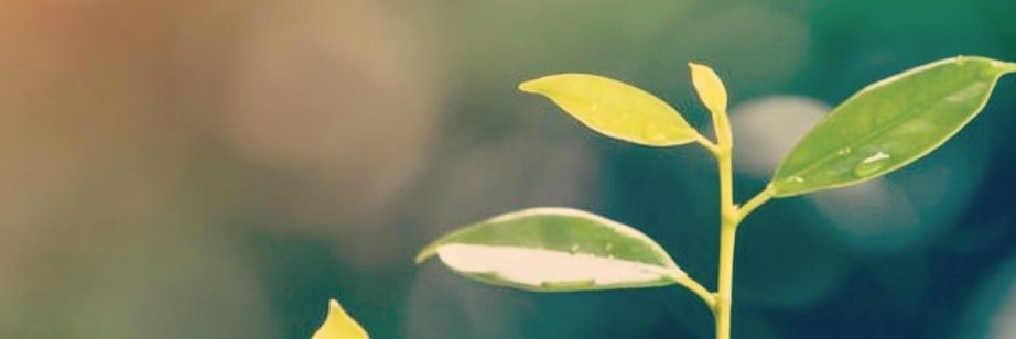 Benoit Ramacker banner