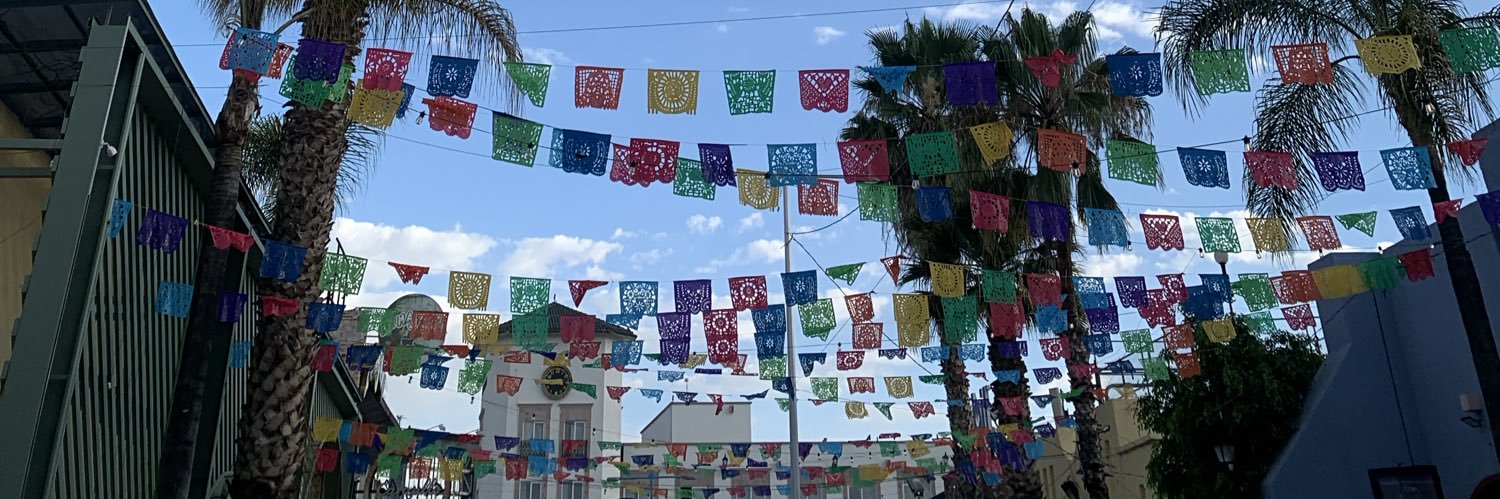 Flor Hernández banner