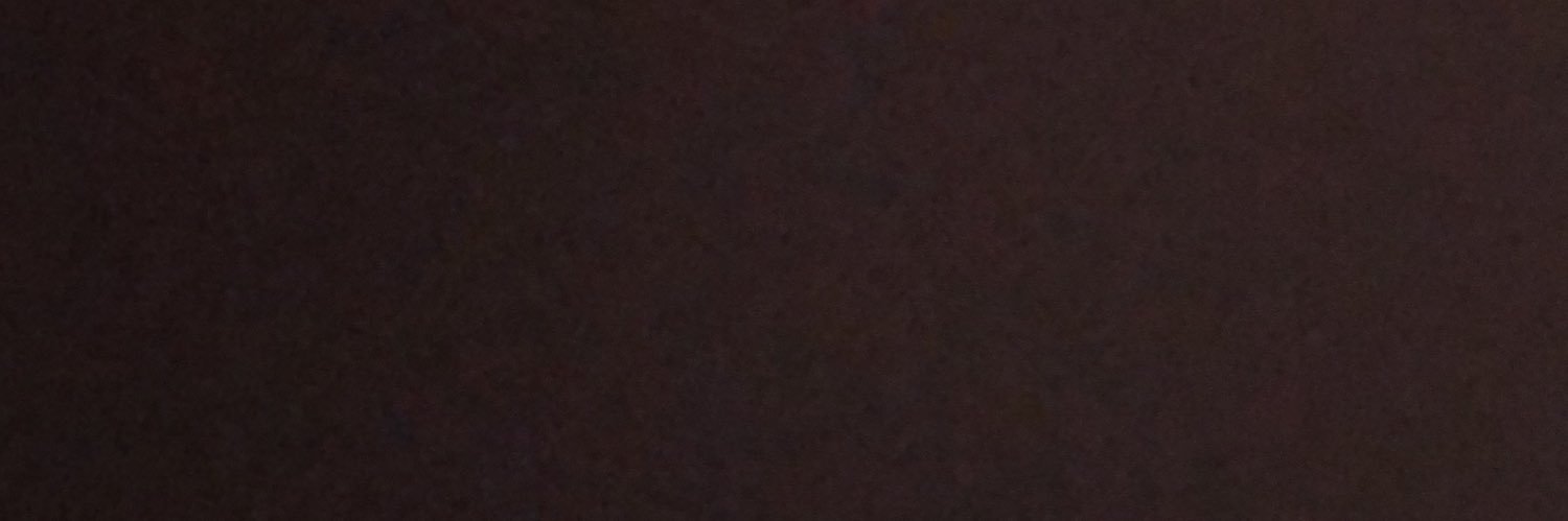 reberhusyn's profile banner image