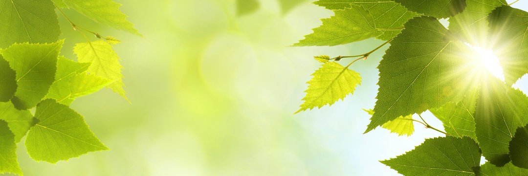 Future of Light banner